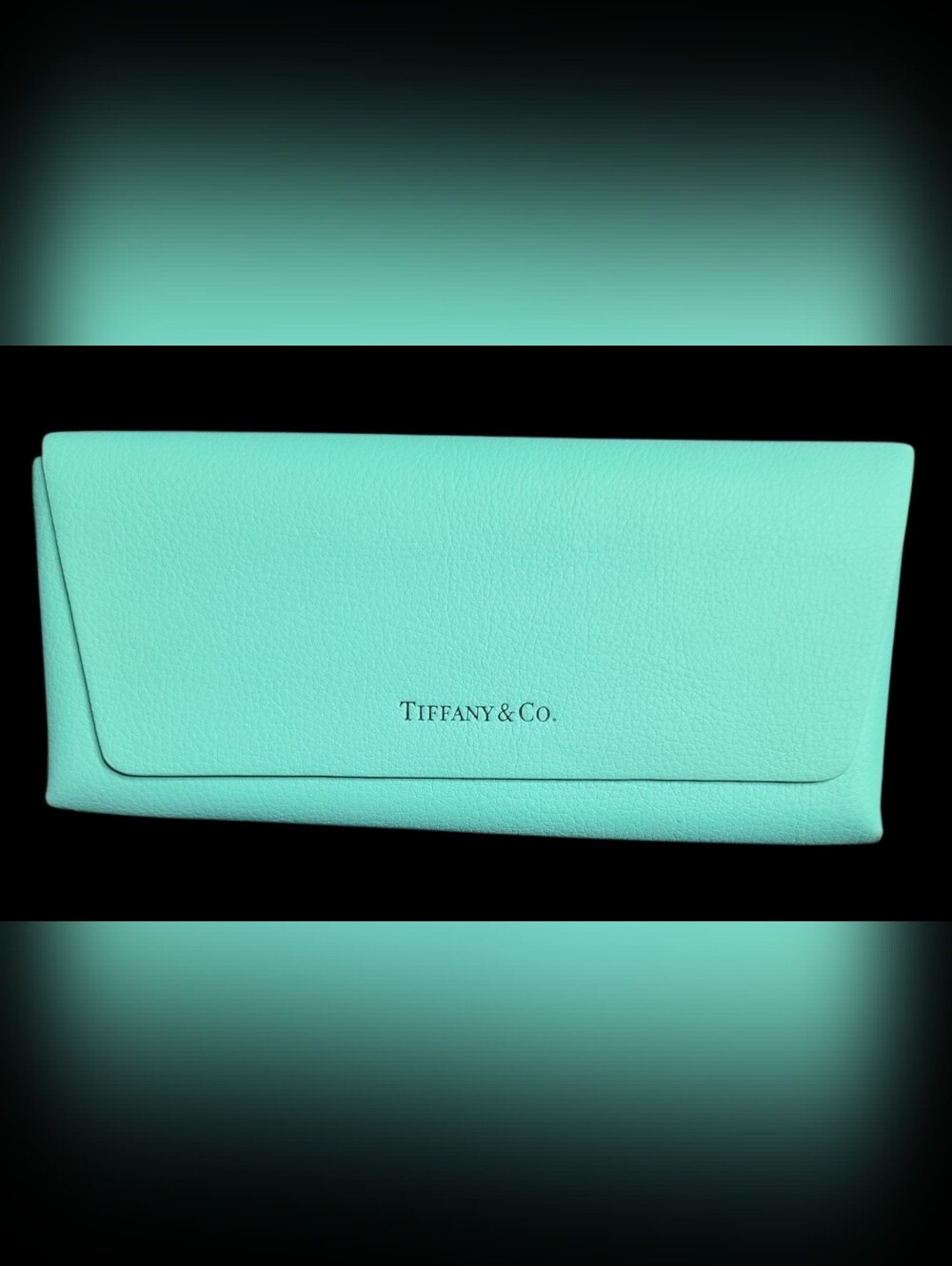 Tiffany Glasses Case